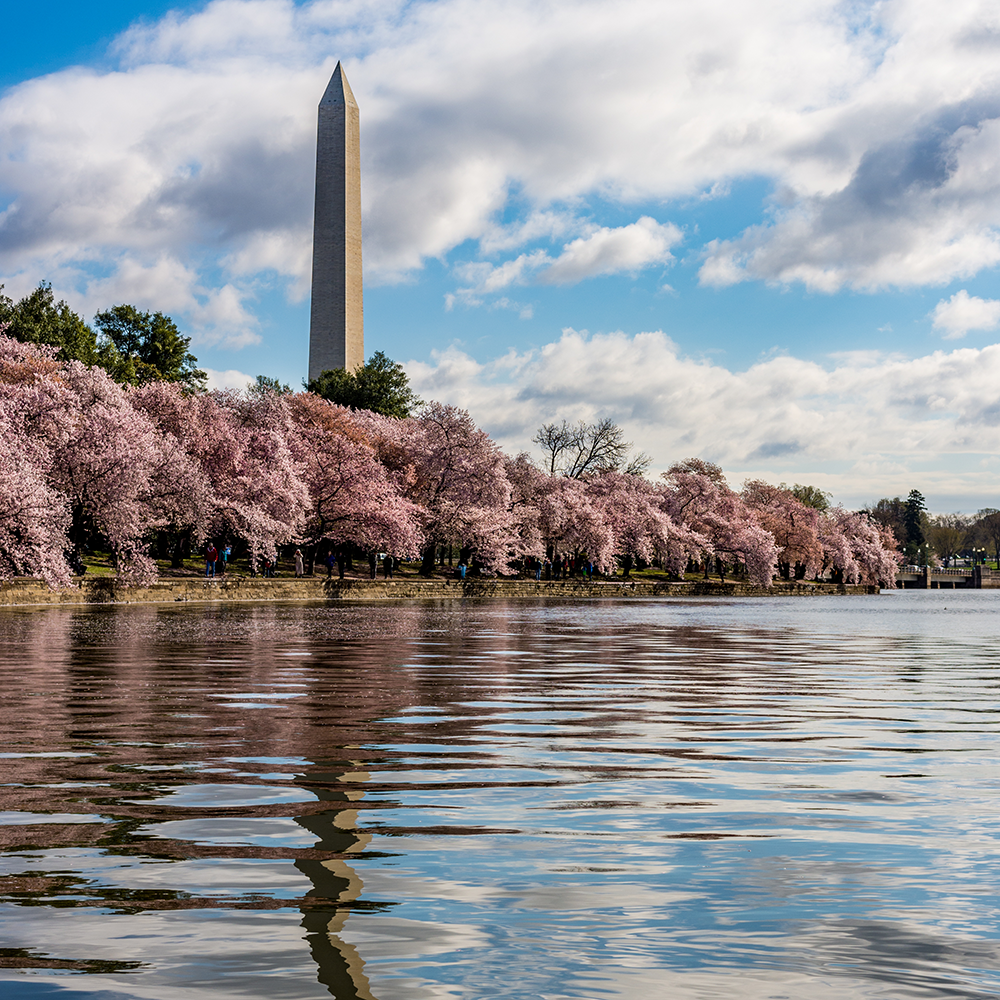 Wound Care Doctors in Washington, DC