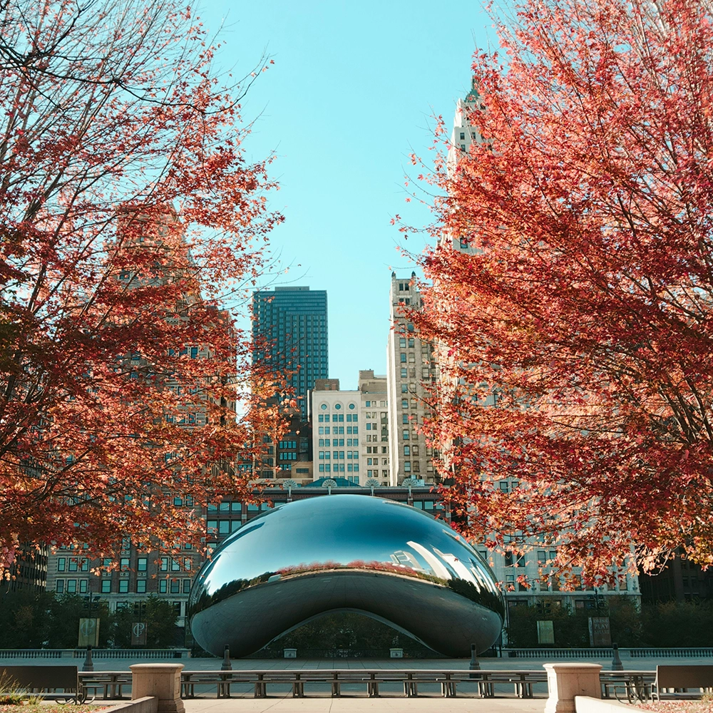 Wound Care Doctors in Illinois