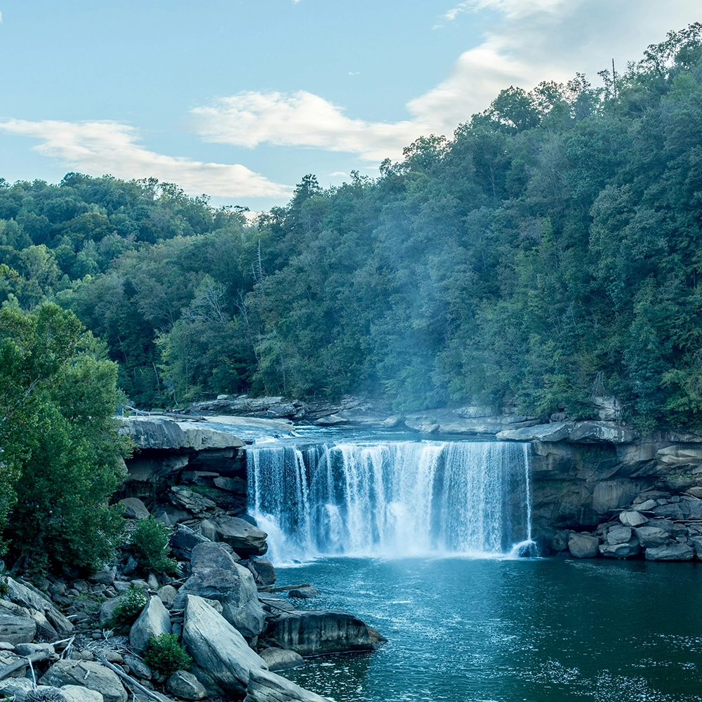 Wound Care Doctors in Kentucky