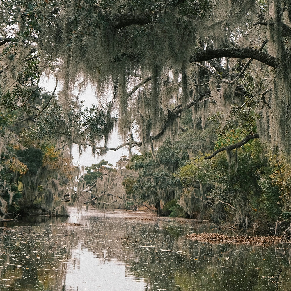 Wound Care Doctors in Louisiana