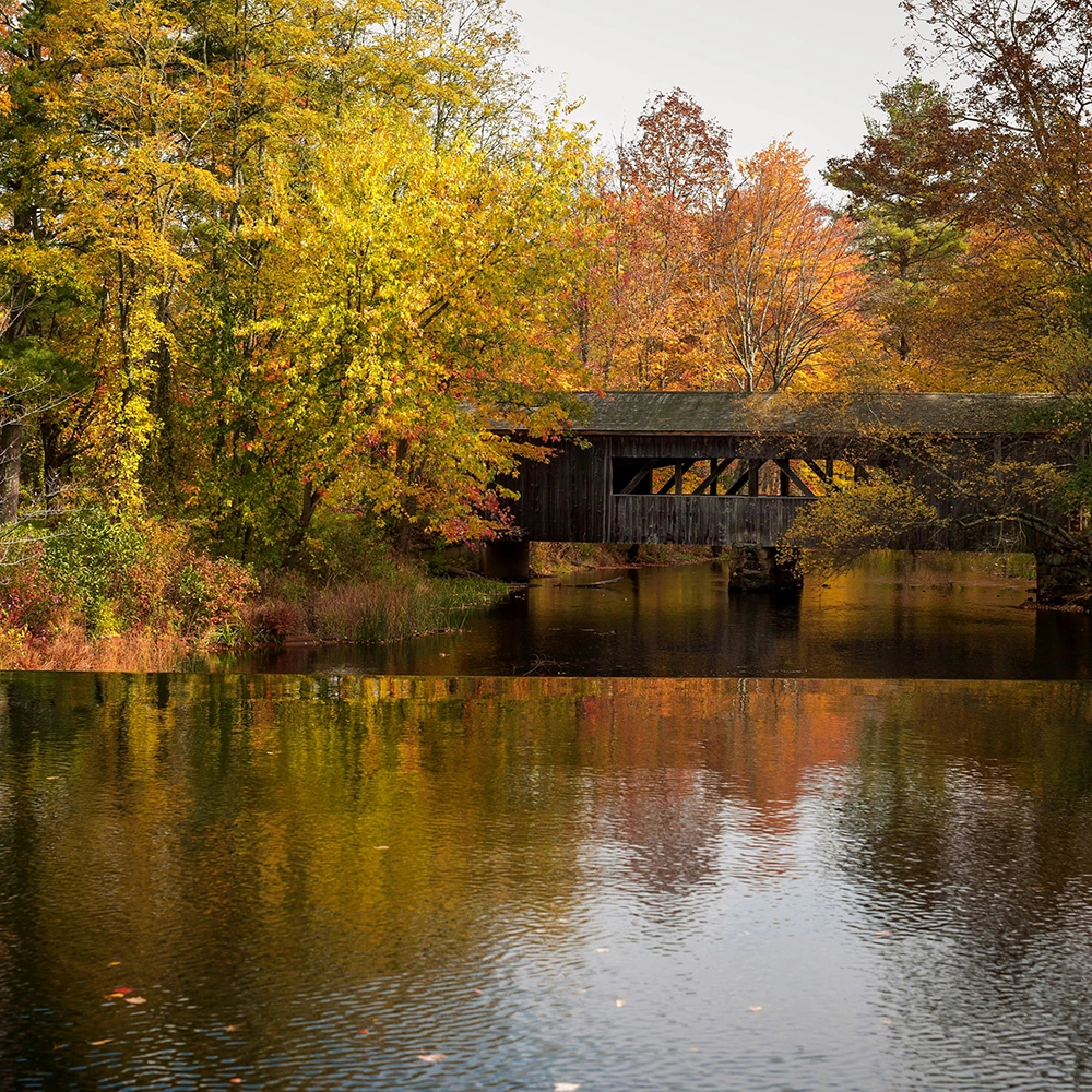 Wound Care Doctors in Massachusetts