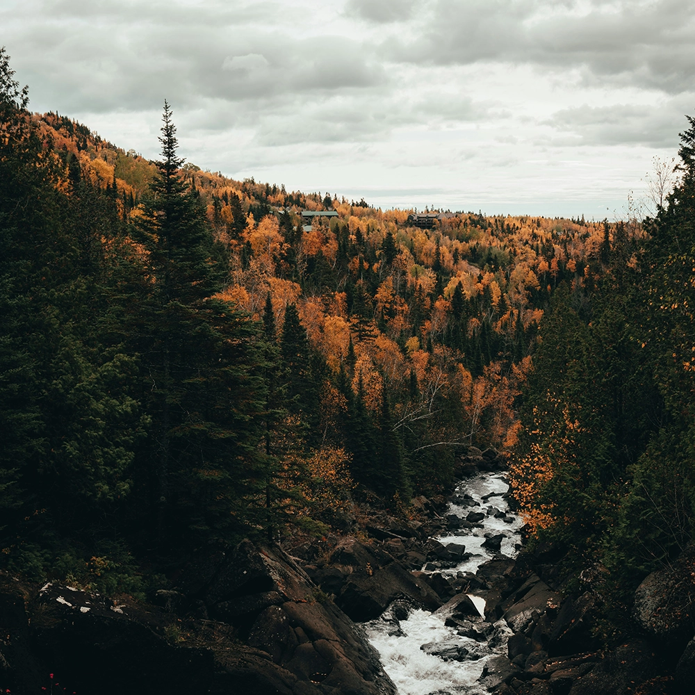 Wound Care Doctors in Minnesota