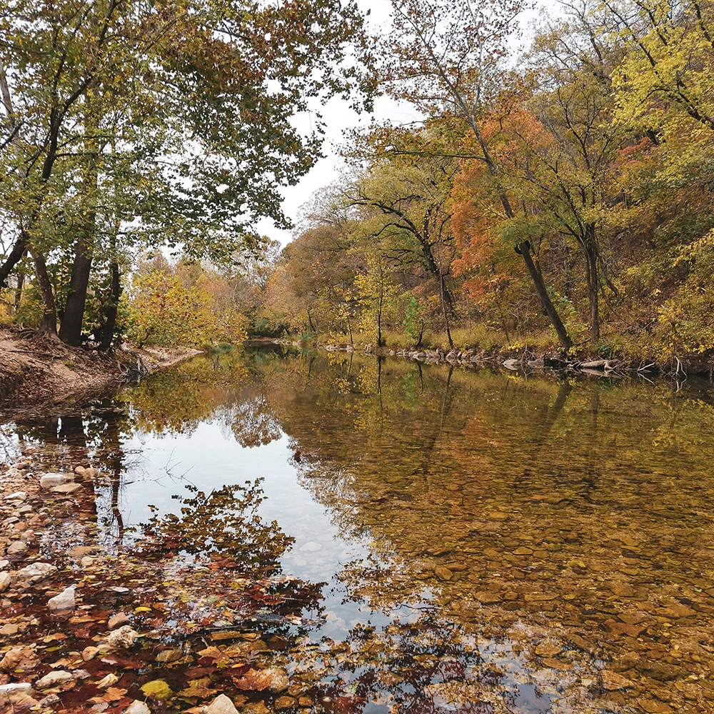 Wound Care Doctors in Missouri