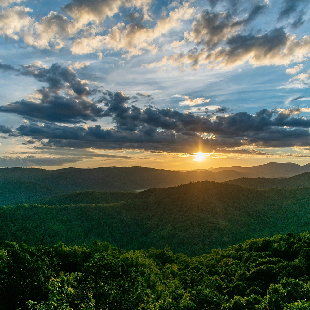 Wound Care Doctors in North Carolina