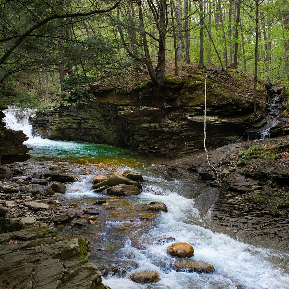 Wound Care Doctors in Pennsylvania