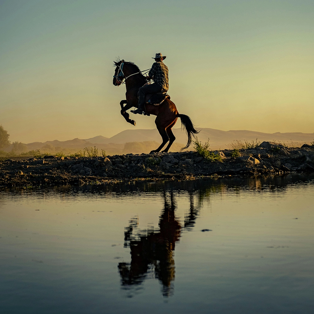 Wound Care Doctors in Texas