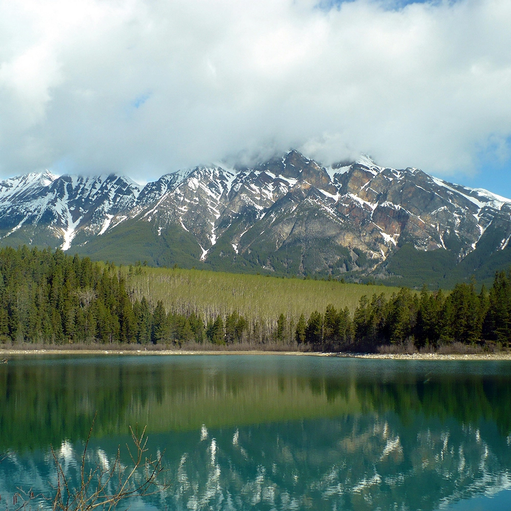 Wound Care Doctors in Vermont