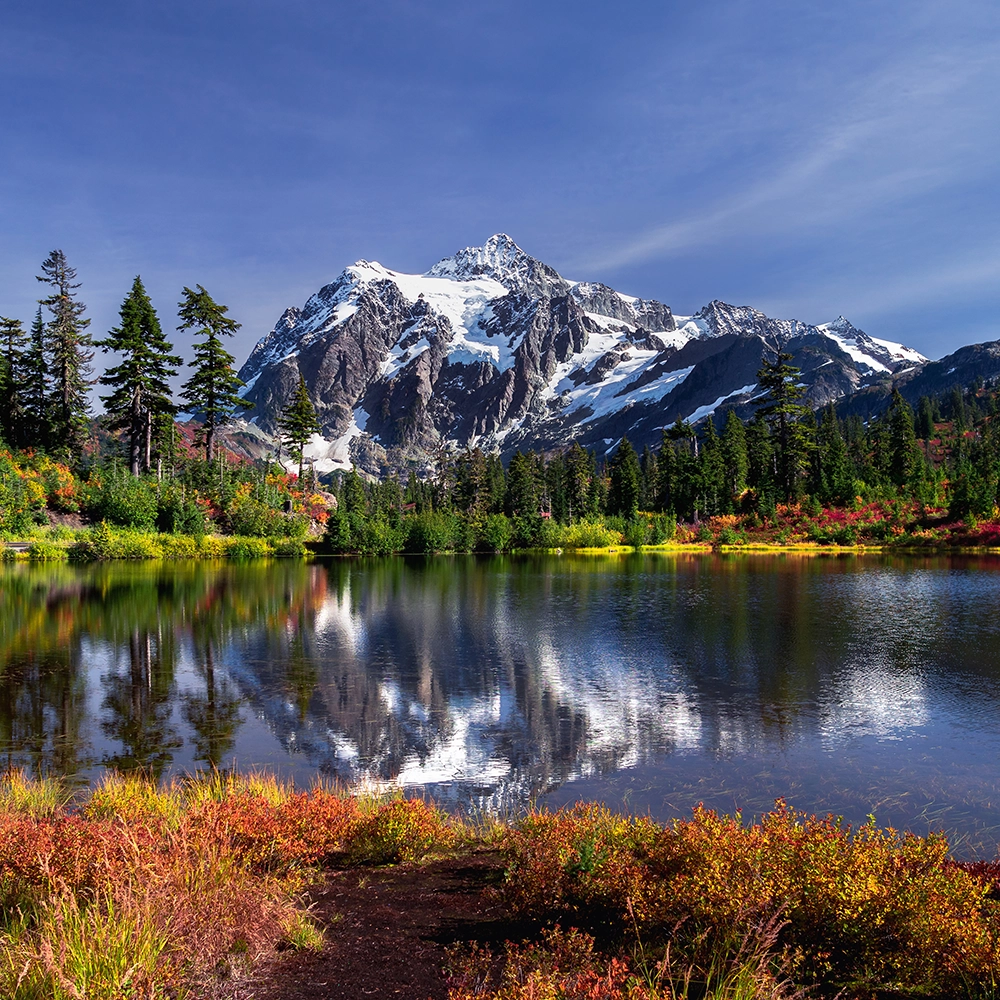 Wound Care Doctors in Washington